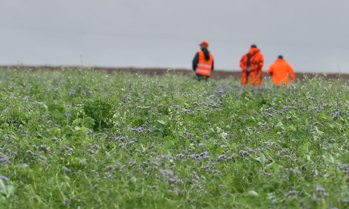 Couverts faunistiques FDC 59