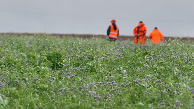Couverts faunistiques FDC 59