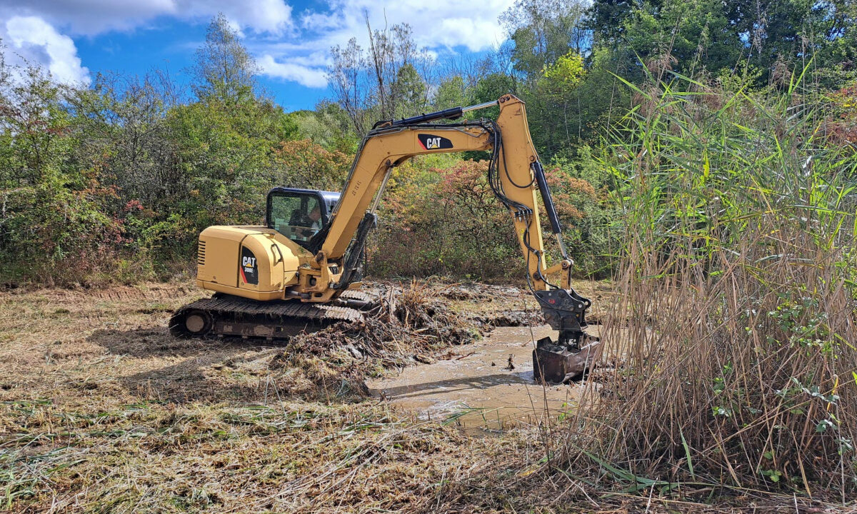 Restauration d'une mare (Jura)