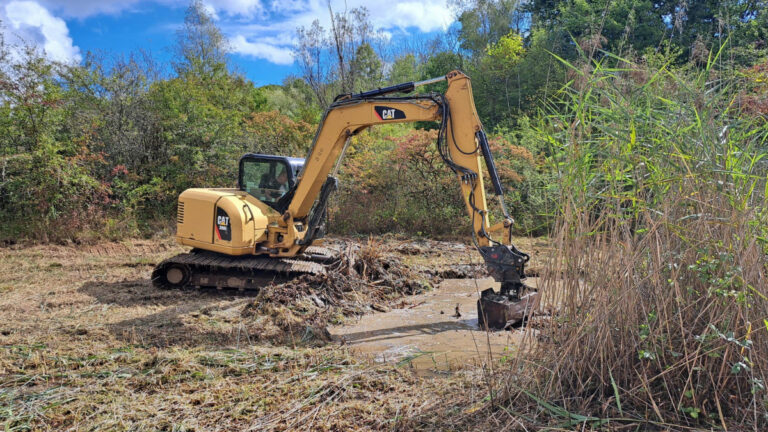 Haies, mares, habitats : les chasseurs du Jura à l’œuvre