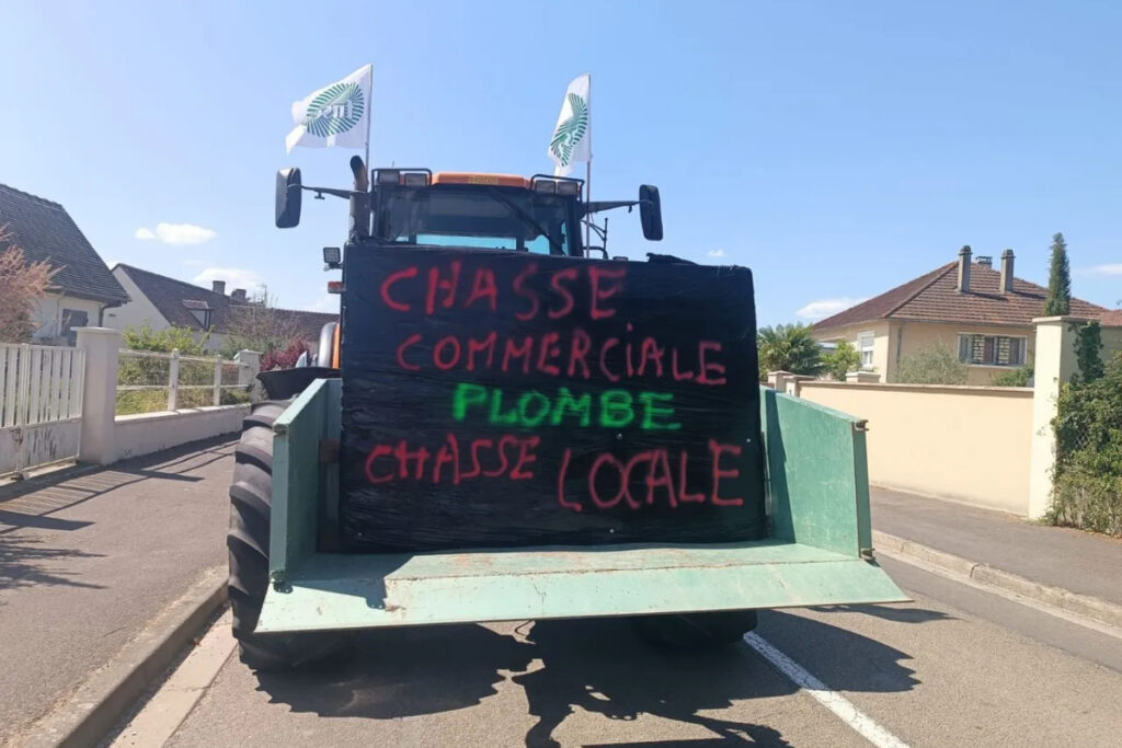 Tensions entre agriculteurs et chasseurs dans l'Yonne à cause des dégâts du sanglier