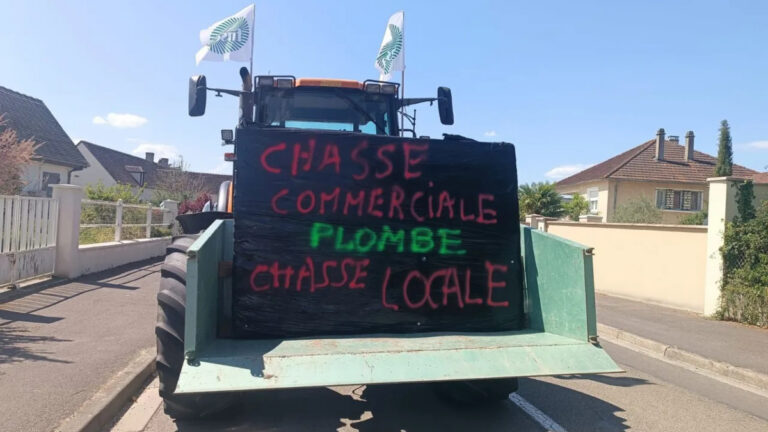 Dégâts de sangliers : la tension monte entre agriculteurs et chasseurs dans l’Yonne