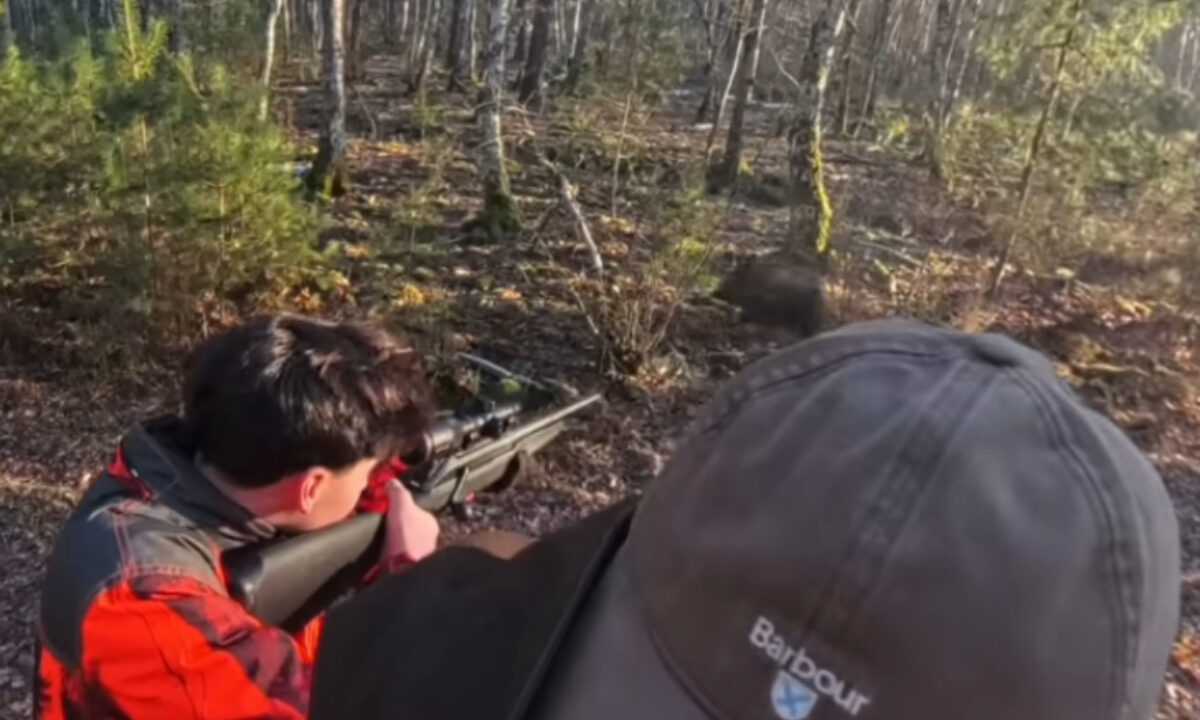Tir sanglier Antoine, 15 ans, en chasse accompagnée