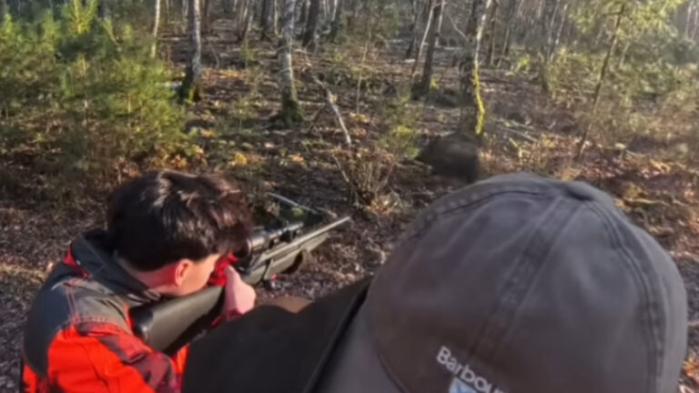 Un ado en chasse accompagnée prélève son tout premier sanglier !