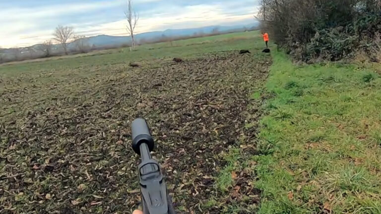 Un triplé de sangliers à quatre mains entre un père et son fils