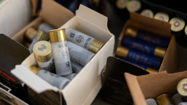 Munitions au plomb : Bruxelles recule, la filière chasse obtient du temps