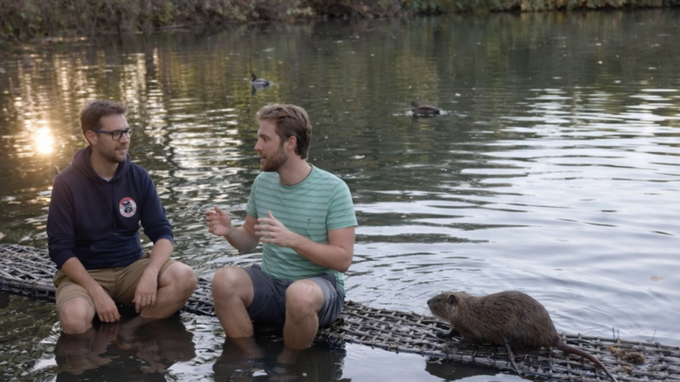 Un élu animaliste barbotte avec des ragondins au bois de Boulogne pour défendre leur cause