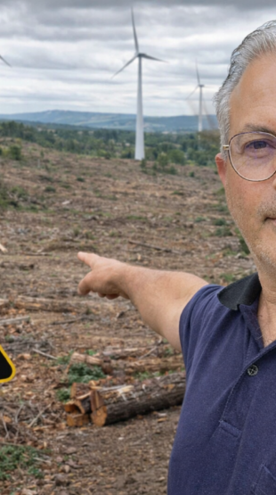 Une forêt rasée pour des éoliennes ? Le coup de colère d’un maire qui fait réagir