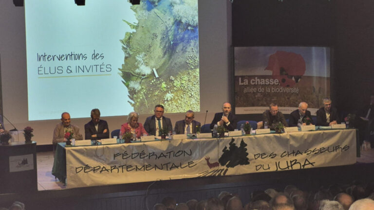 Jura : entre dégâts, effectifs en baisse et sécurité, une année sous tension