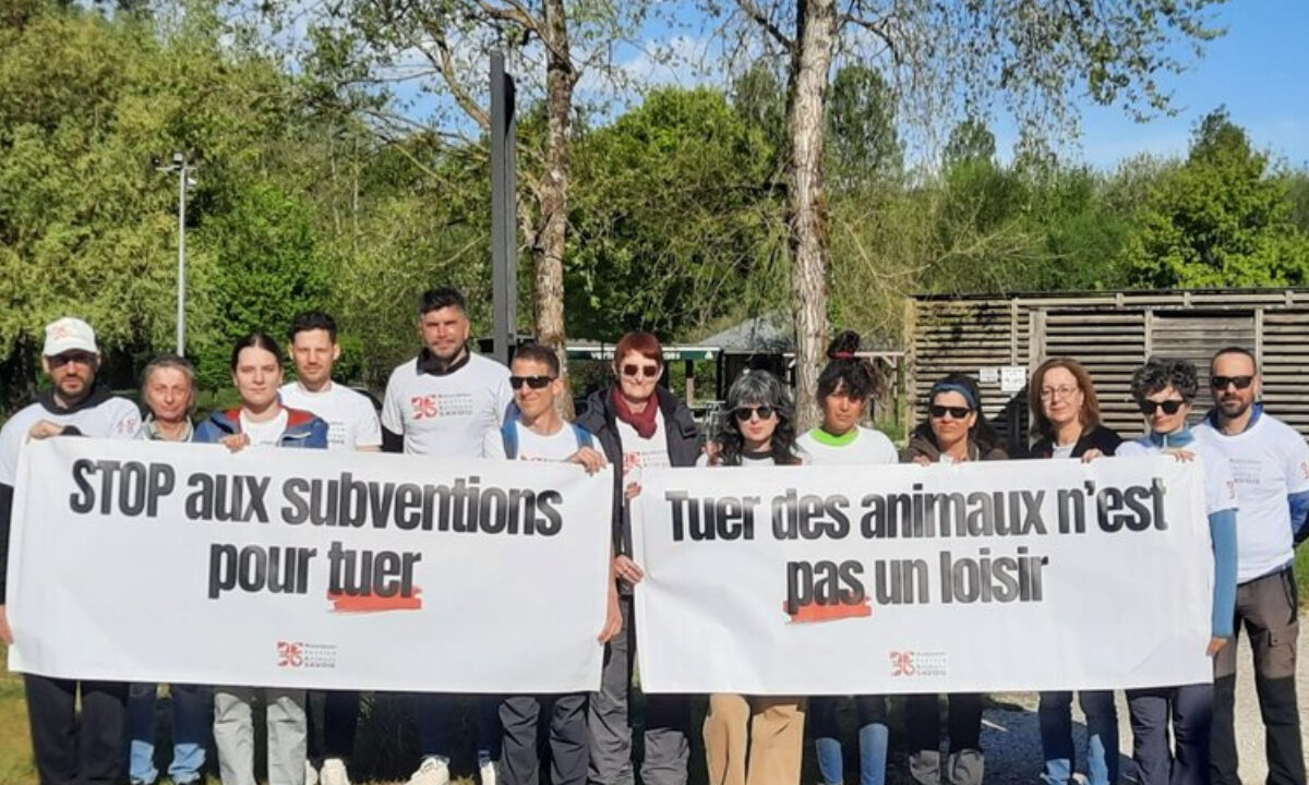 Action anti-chasse