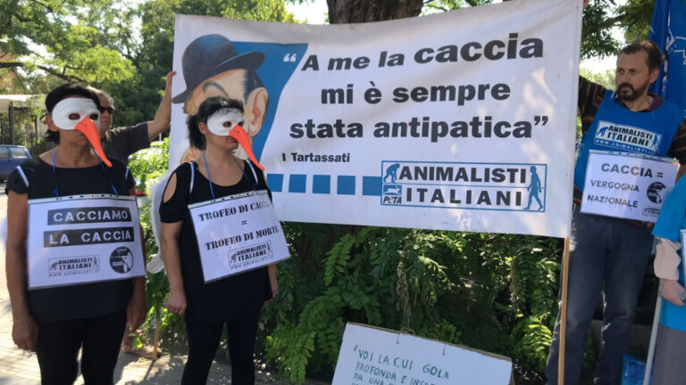 Italie : Giorgia Meloni assume un virage pro-rural sur la chasse et le loup