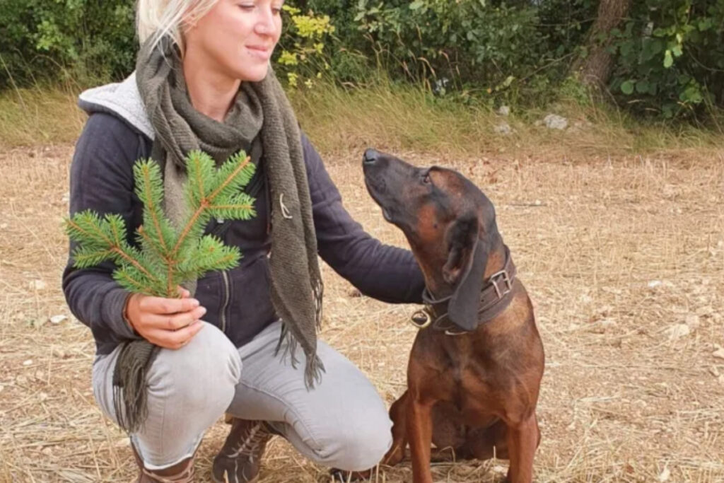 Cagnotte Anaïs chasseresse menacée en ligne
