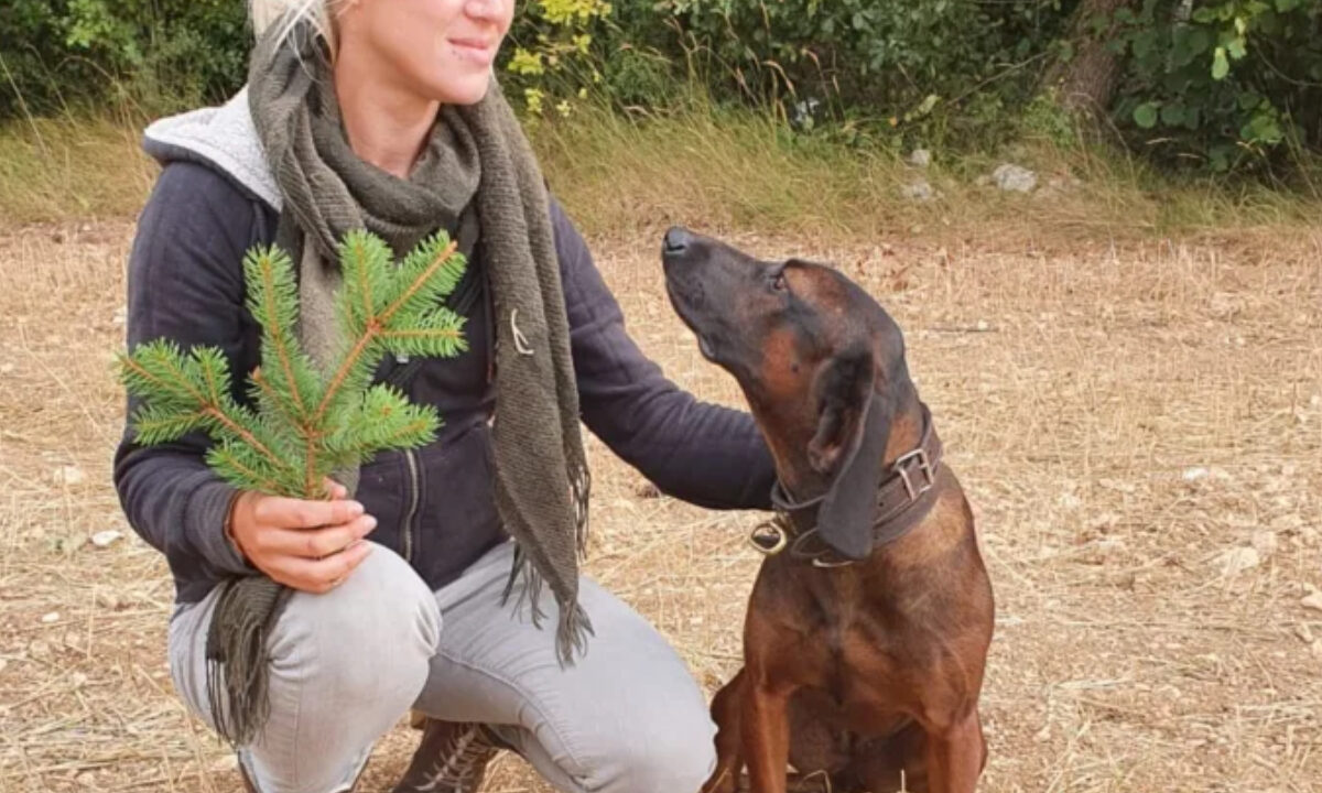 Cagnotte Anaïs chasseresse menacée en ligne