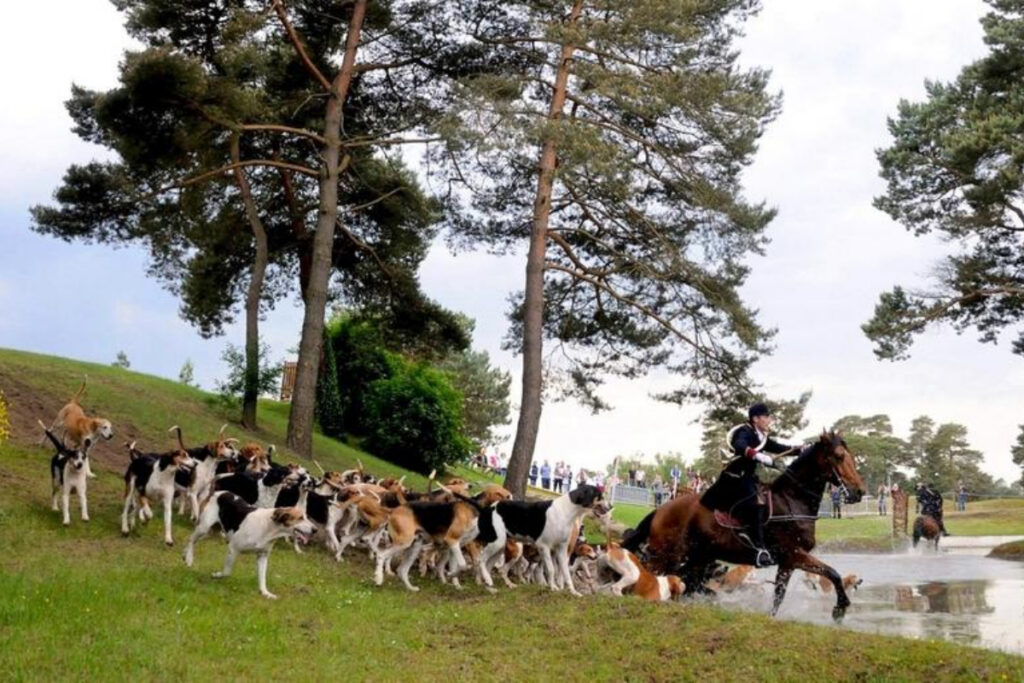 Chasse, pêche, nature et vénerie en fête au Grand Parquet de Fontainebleau