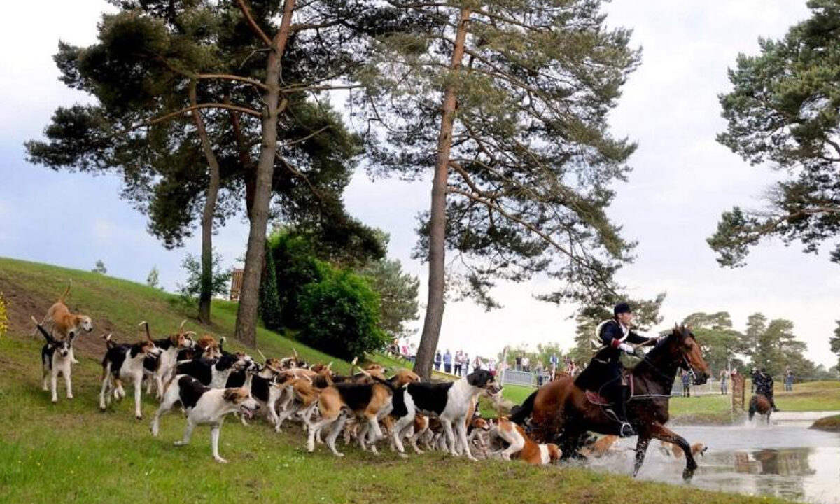 Chasse, pêche, nature et vénerie en fête au Grand Parquet de Fontainebleau