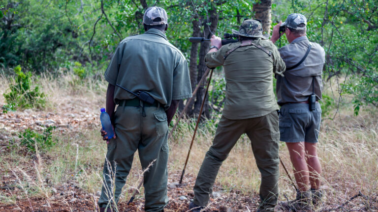 ACP : « La grande chasse a encore un avenir », estime Pascal-Marion Bourgeat