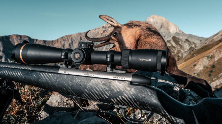 Chasse à l’approche : pourquoi choisir la balle Hornady ELD-X ?