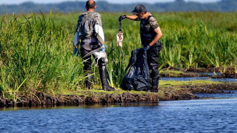Lac de Grand-Lieu : les chasseurs attaquent l’État en justice