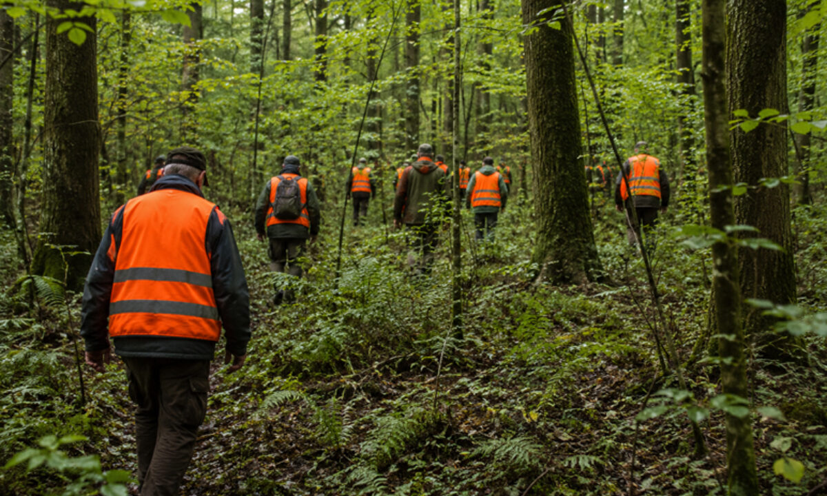 Chasseurs participant à une battue citoyenne en Haute-Saône