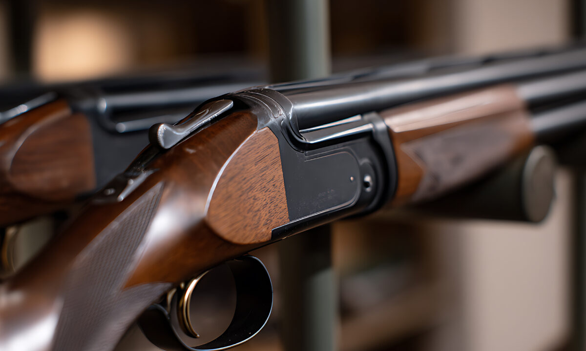 Fusils de chasse