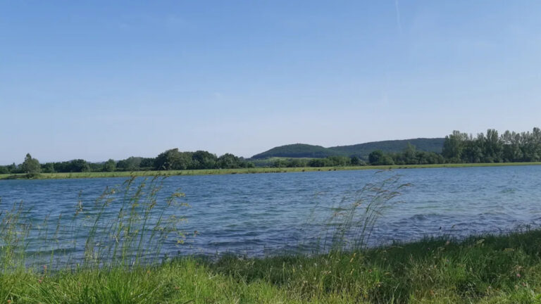 Tarn: Chasseurs et pêcheurs rachètent un lac pour la biodiversité