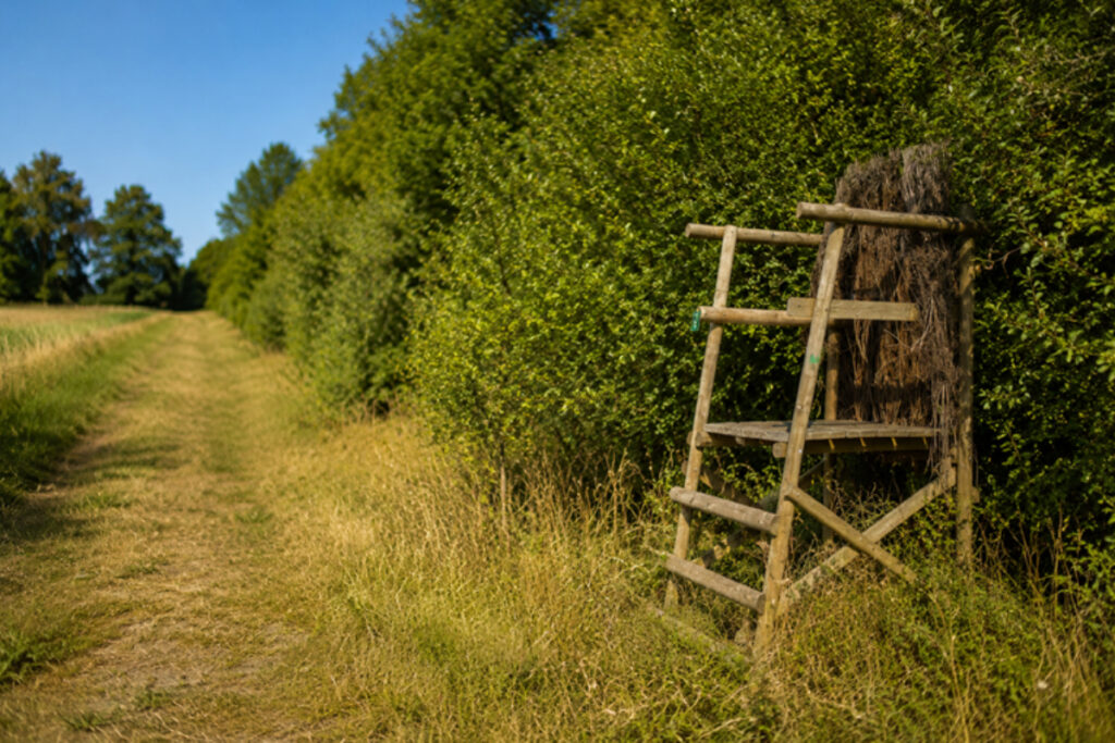 Mirador de chasse