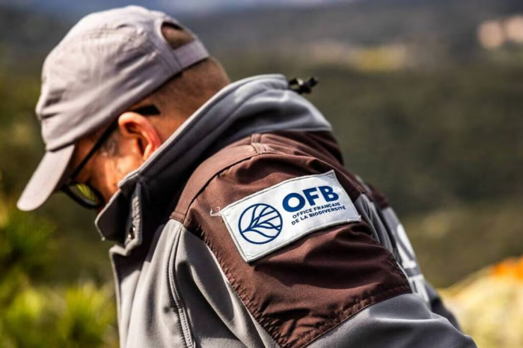 OFB