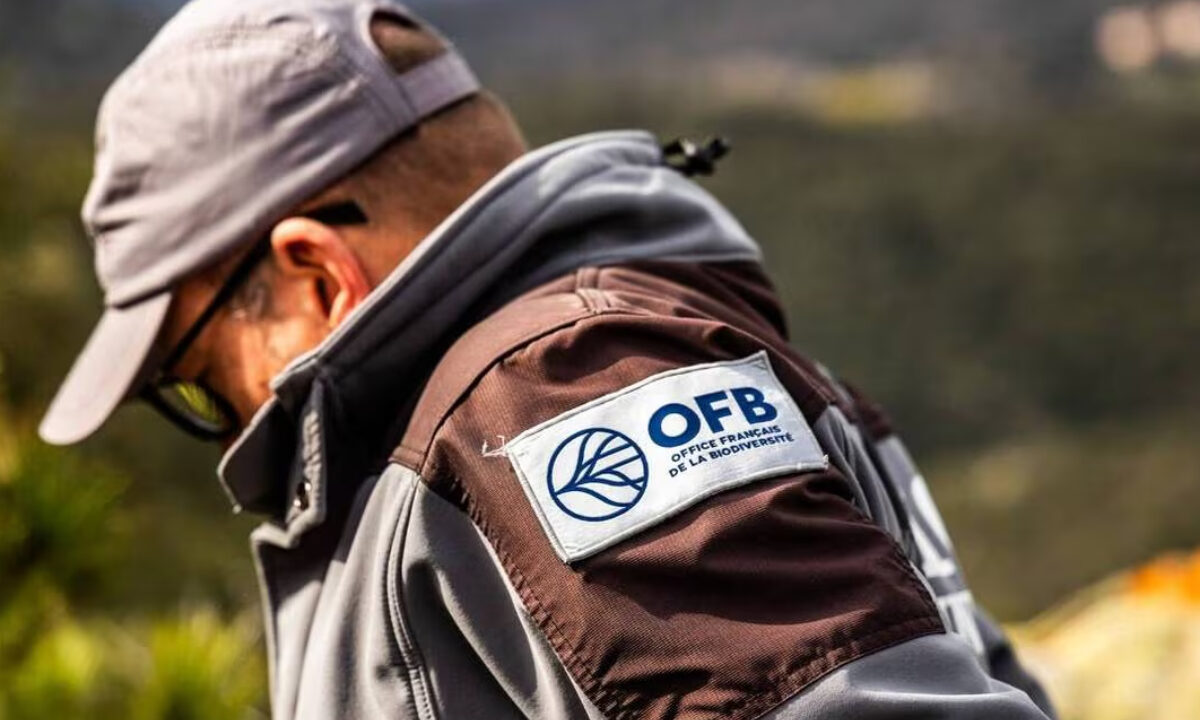 OFB