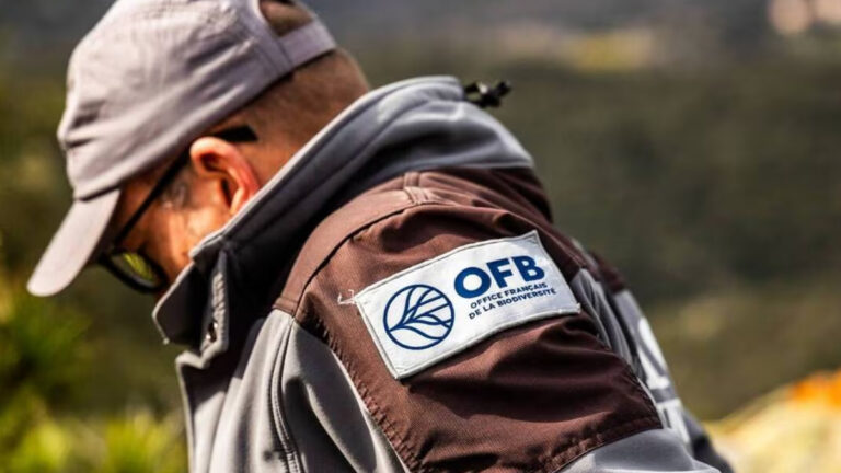 Police de l’environnement : un sénateur veut retirer cette mission à l’OFB