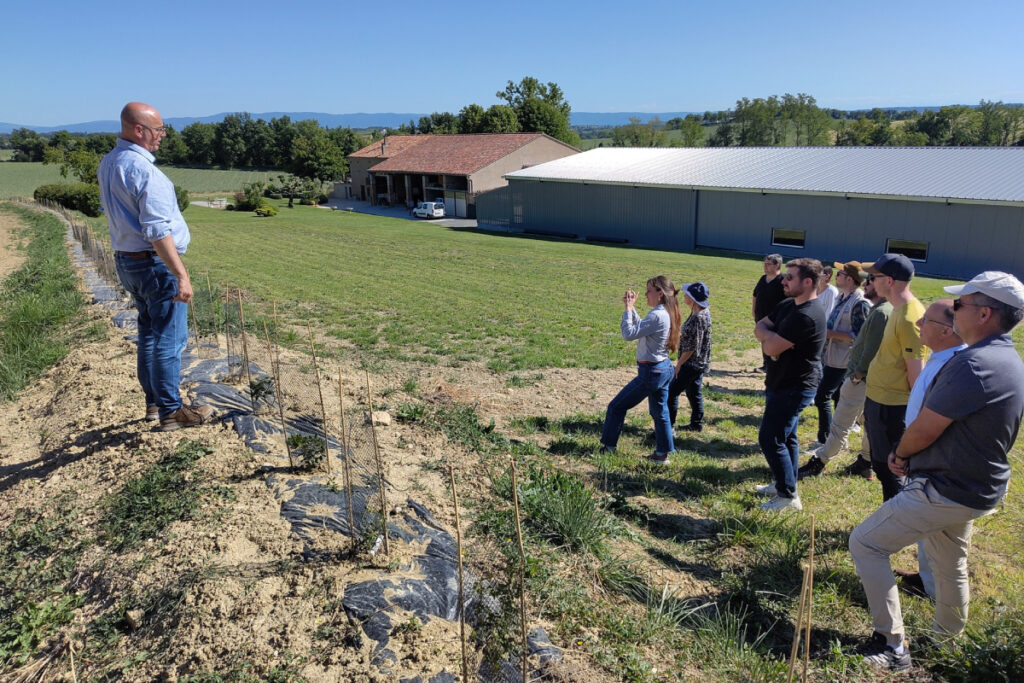 Plantation de haies chasseurs du Tarn