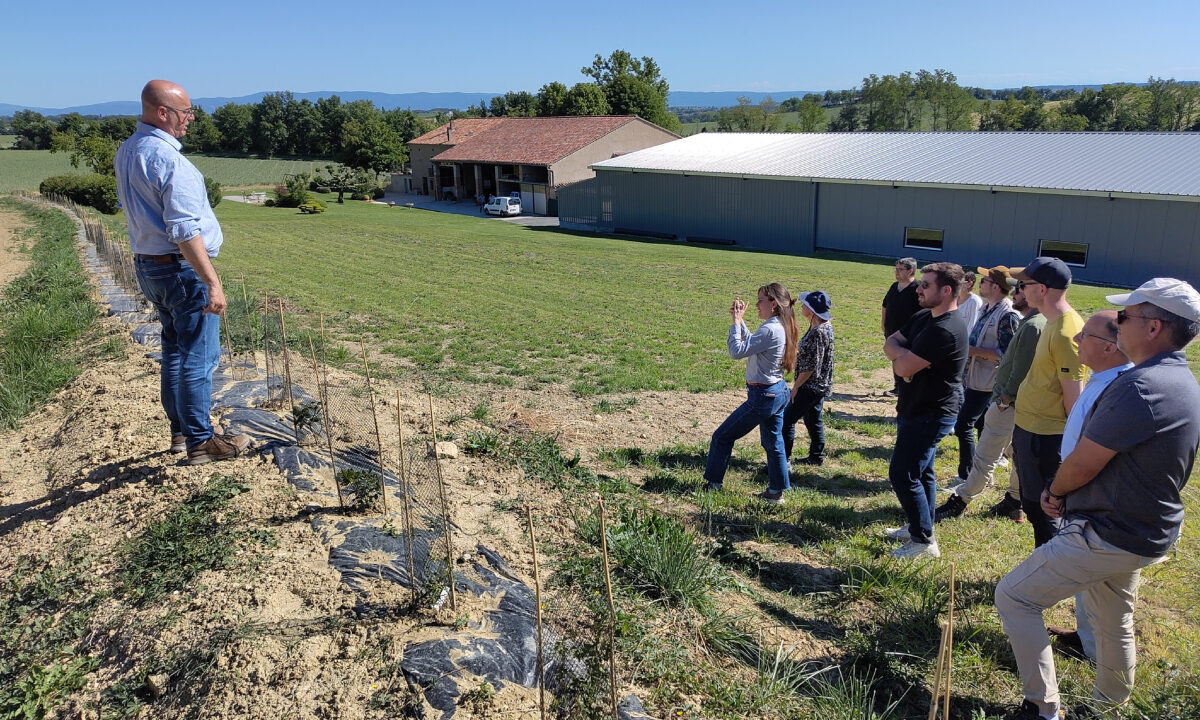 Plantation de haies chasseurs du Tarn