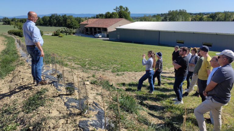 Dans le Tarn, chasseurs, agriculteurs et acteurs locaux unissent leurs forces pour les haies