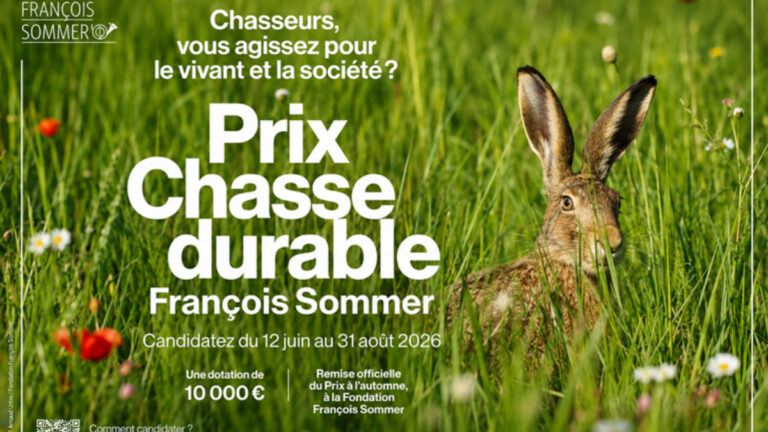 Prix chasse durable François Sommer 2026 : les candidatures sont ouvertes