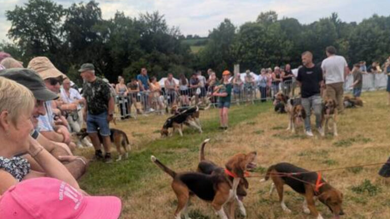 Manche : les Journées de la ruralité confirment le pari réussi des chasseurs