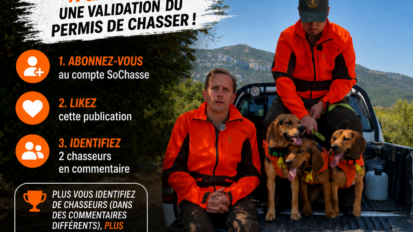 Gagnez votre validation nationale du permis de chasser 2026-2027