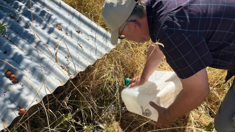 Canicule : partout en France, les chasseurs se mobilisent pour la faune