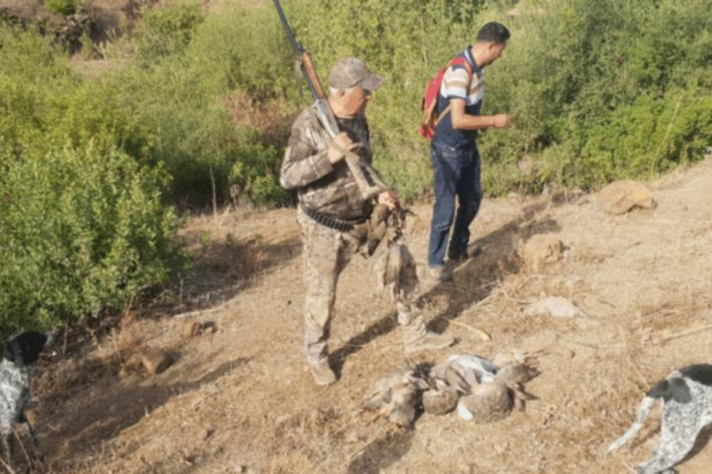 Chasse au Maroc