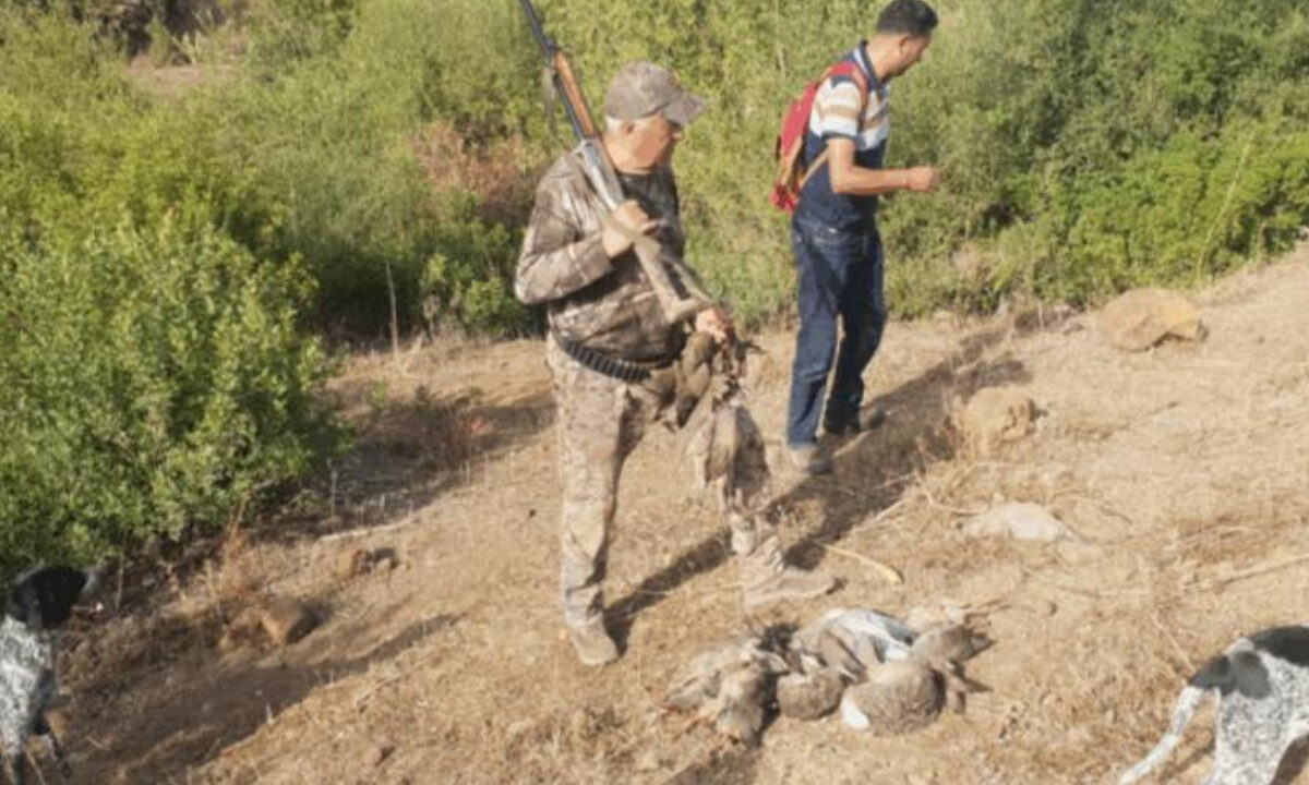 Chasse au Maroc
