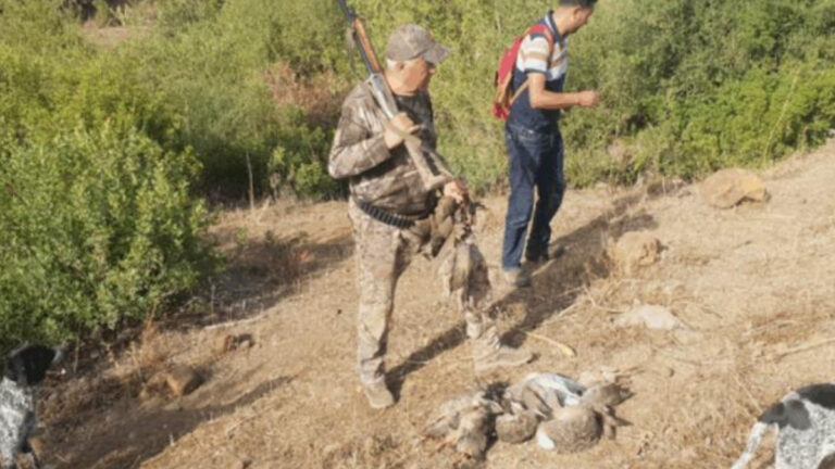 Le Maroc confirme son virage vers une chasse durable