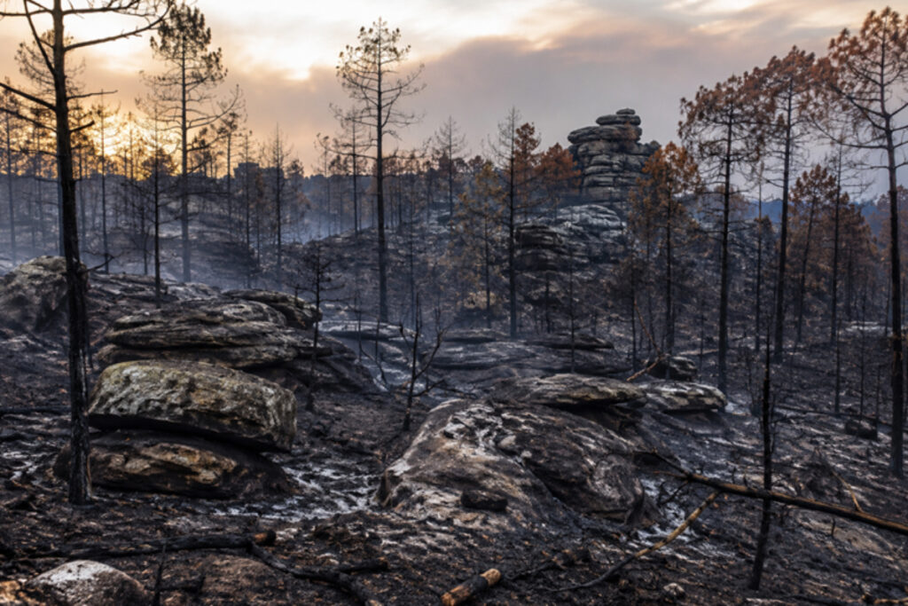 Incendie Fontainebleau