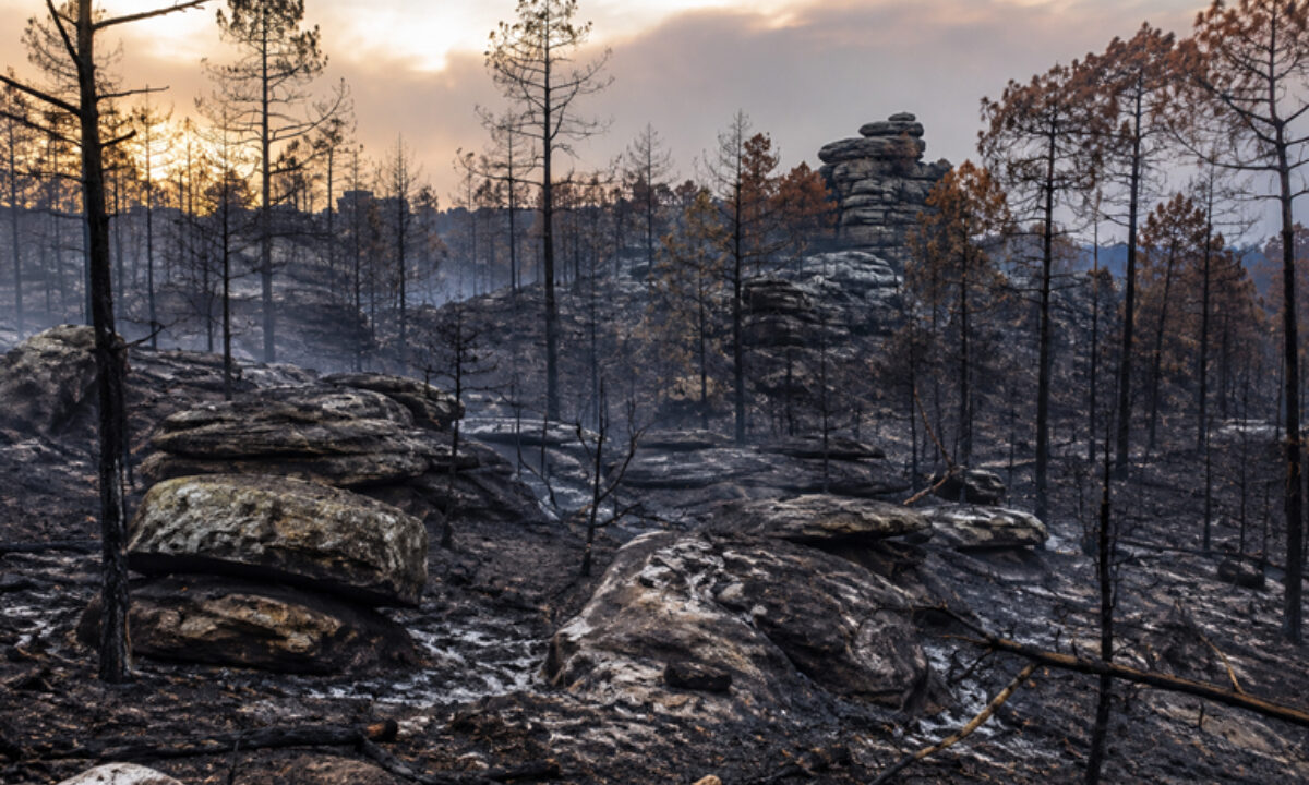 Incendie Fontainebleau