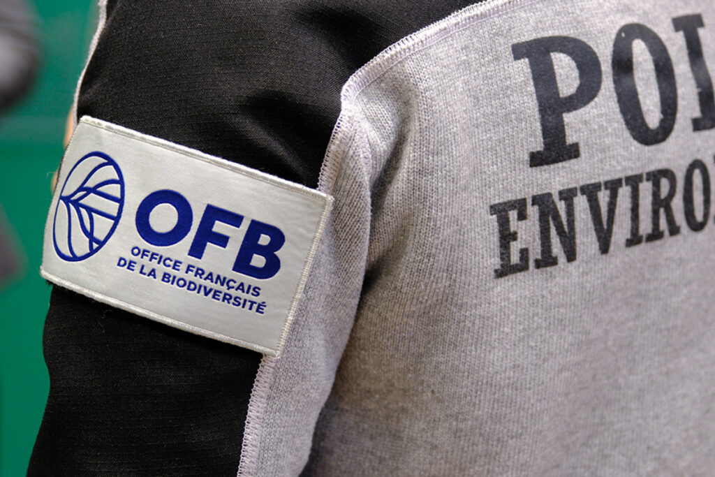 OFB