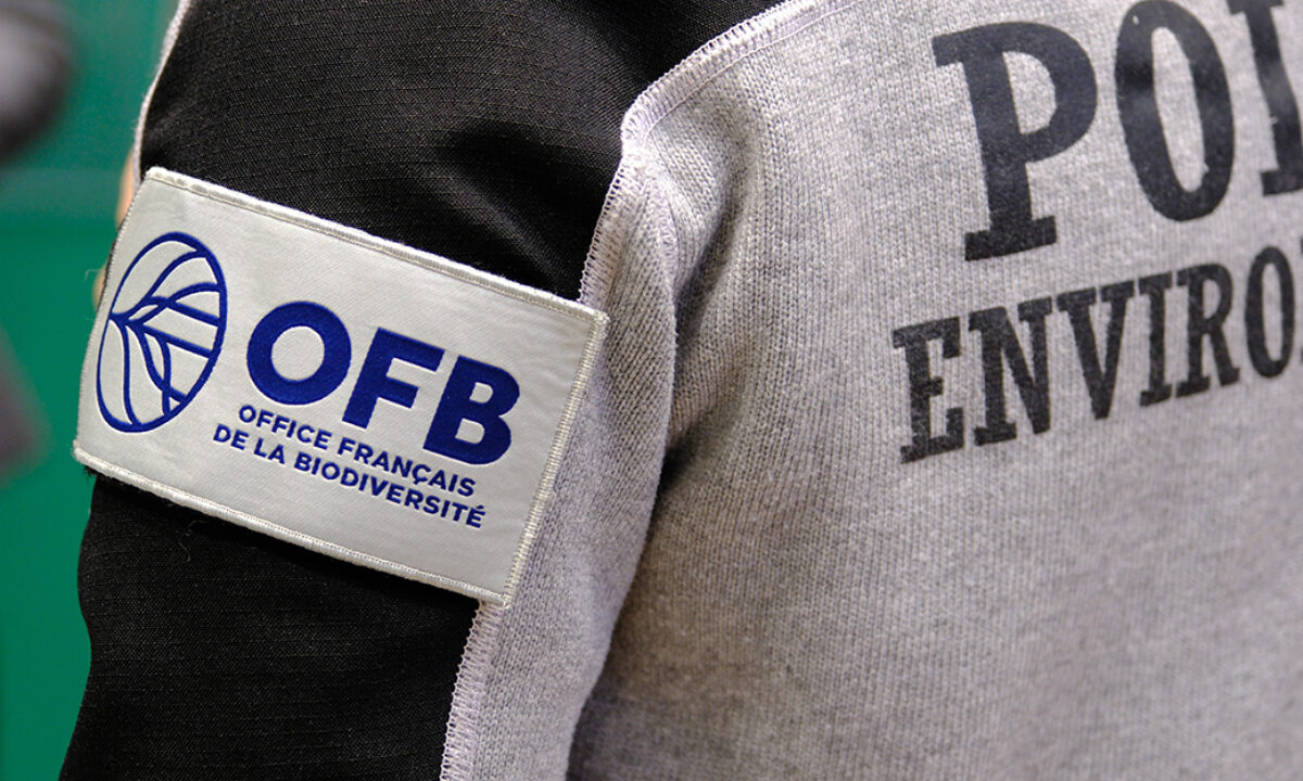 OFB