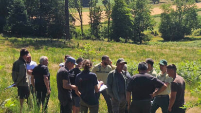 Aveyron : chasseurs et forestiers cherchent l’équilibre