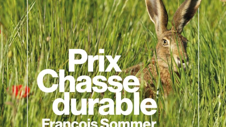 Un prix de 10 000 euros pour mettre à l’honneur les initiatives des chasseurs