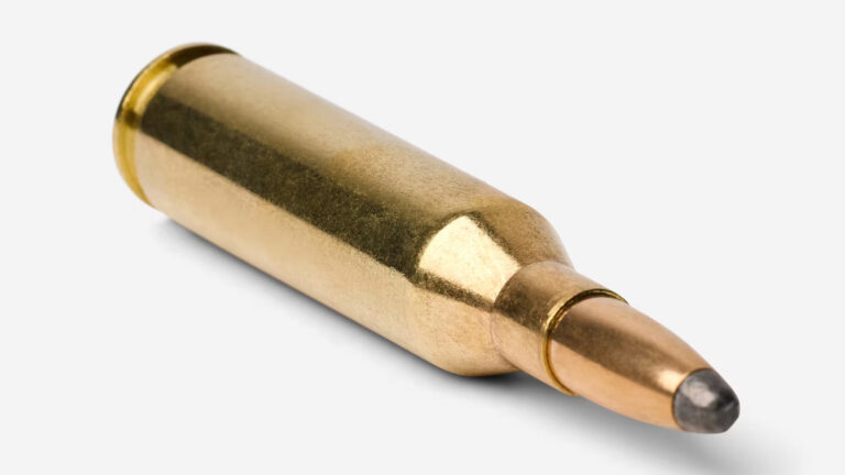 Le .243 Winchester, un classique du brocard et du renard