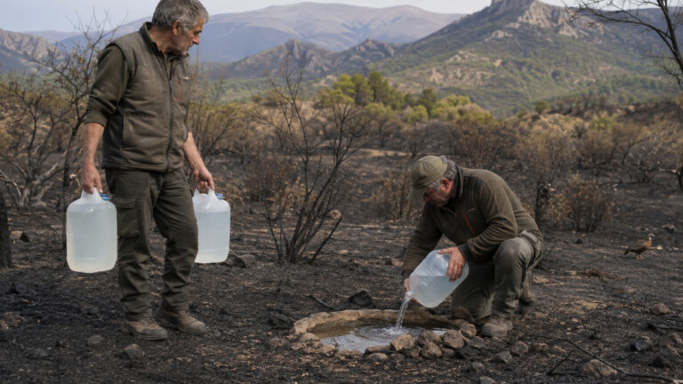 Pyrénées-Orientales : après le feu, les chasseurs protègent le petit gibier