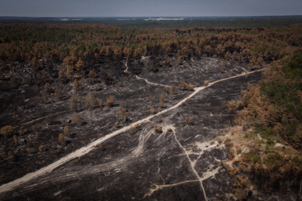 Incendie Fontainebleau