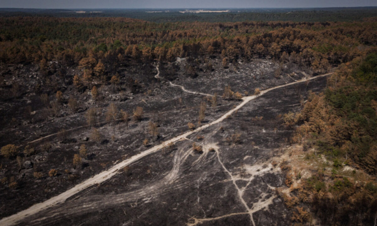 Incendie Fontainebleau