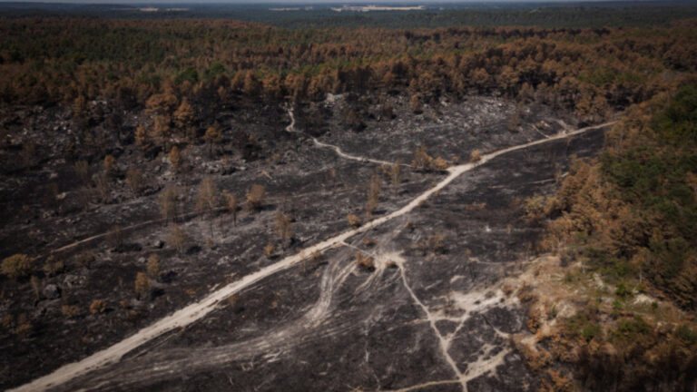 Fontainebleau : la préfecture dément une nouvelle rumeur visant à salir les chasseurs
